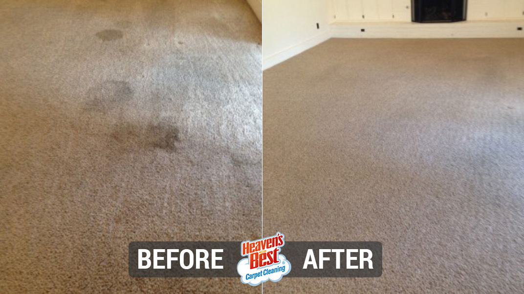 Heaven's Best Carpet Cleaning The Woodlands TX