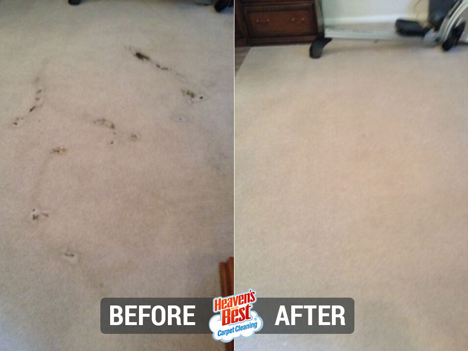 Heaven's Best Carpet Cleaning The Woodlands TX